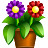 Flowers Icon